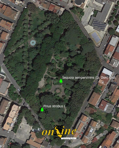 Alberi Monumentali Villa Cittanova