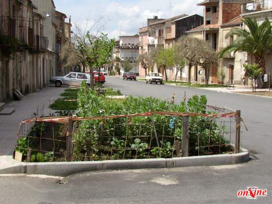 forse aveva ragione chi tempo addietro affermò che Cittanova resterà sempre un paese a vocazione agricola