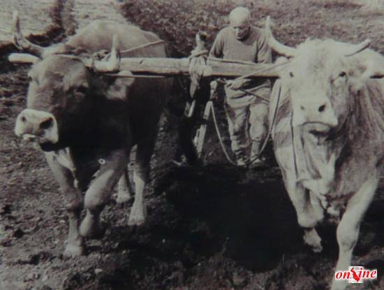 Preparazione del Terreno