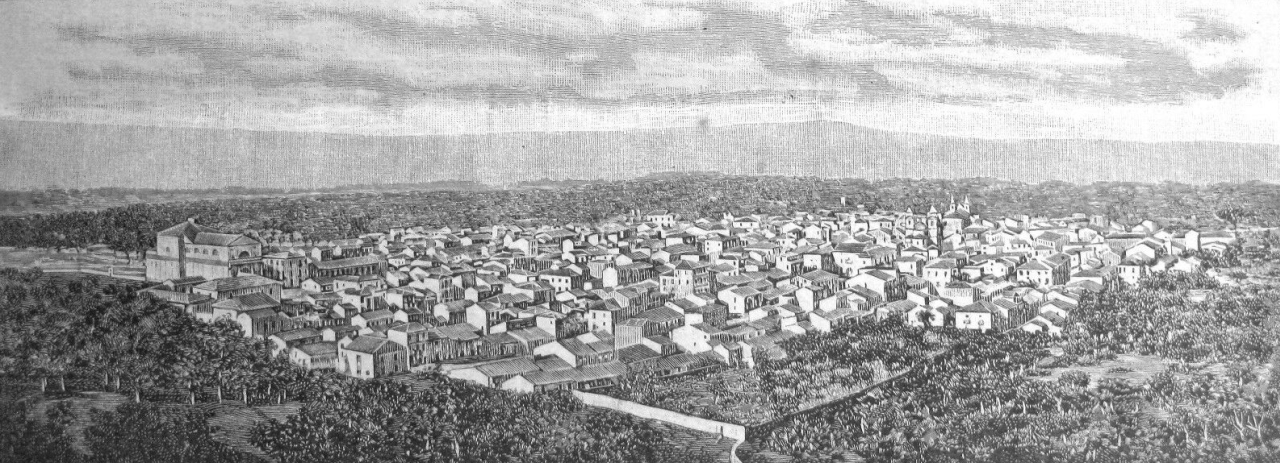 Cittanova - Panorama