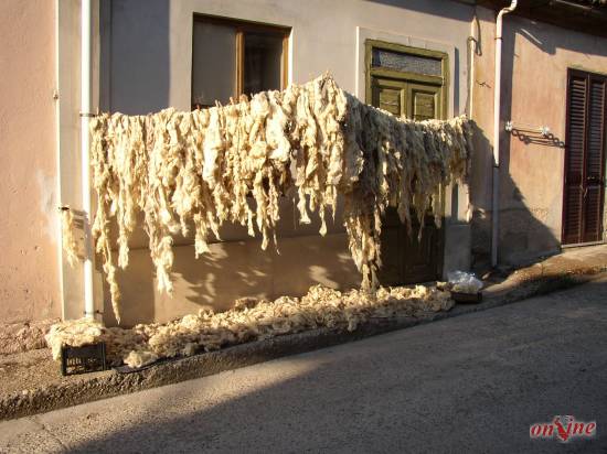 Cittanova: lana messa ad asciugare