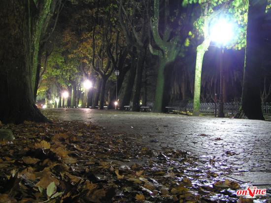 Giardini pubblici: viale