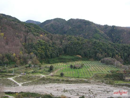 Torrente Serra - Cittanova