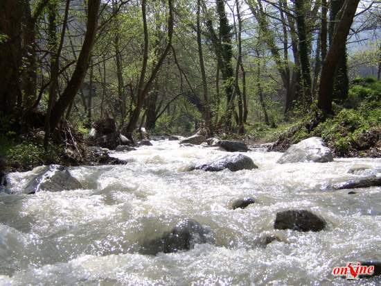 Torrente Vacale - Cittanova