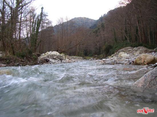 Torrente Vacale - Cittanova