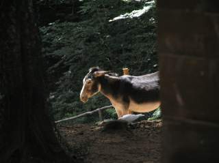 Zerv&ograve;: Comunit&agrave; Incontro